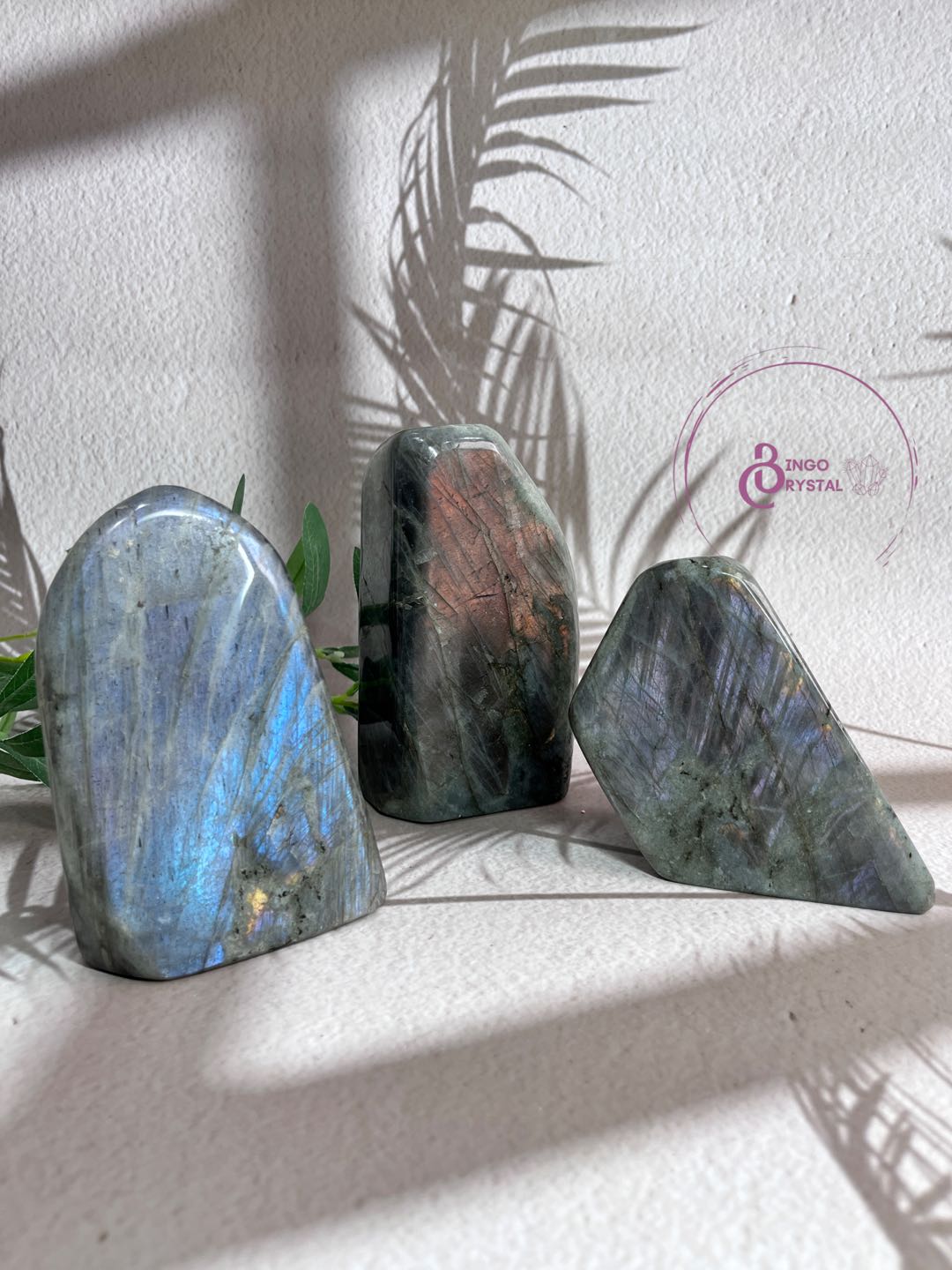 Crystal Purple Labradorite Freeforms