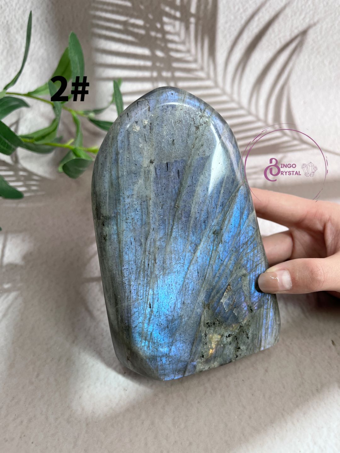 Crystal Purple Labradorite Freeforms