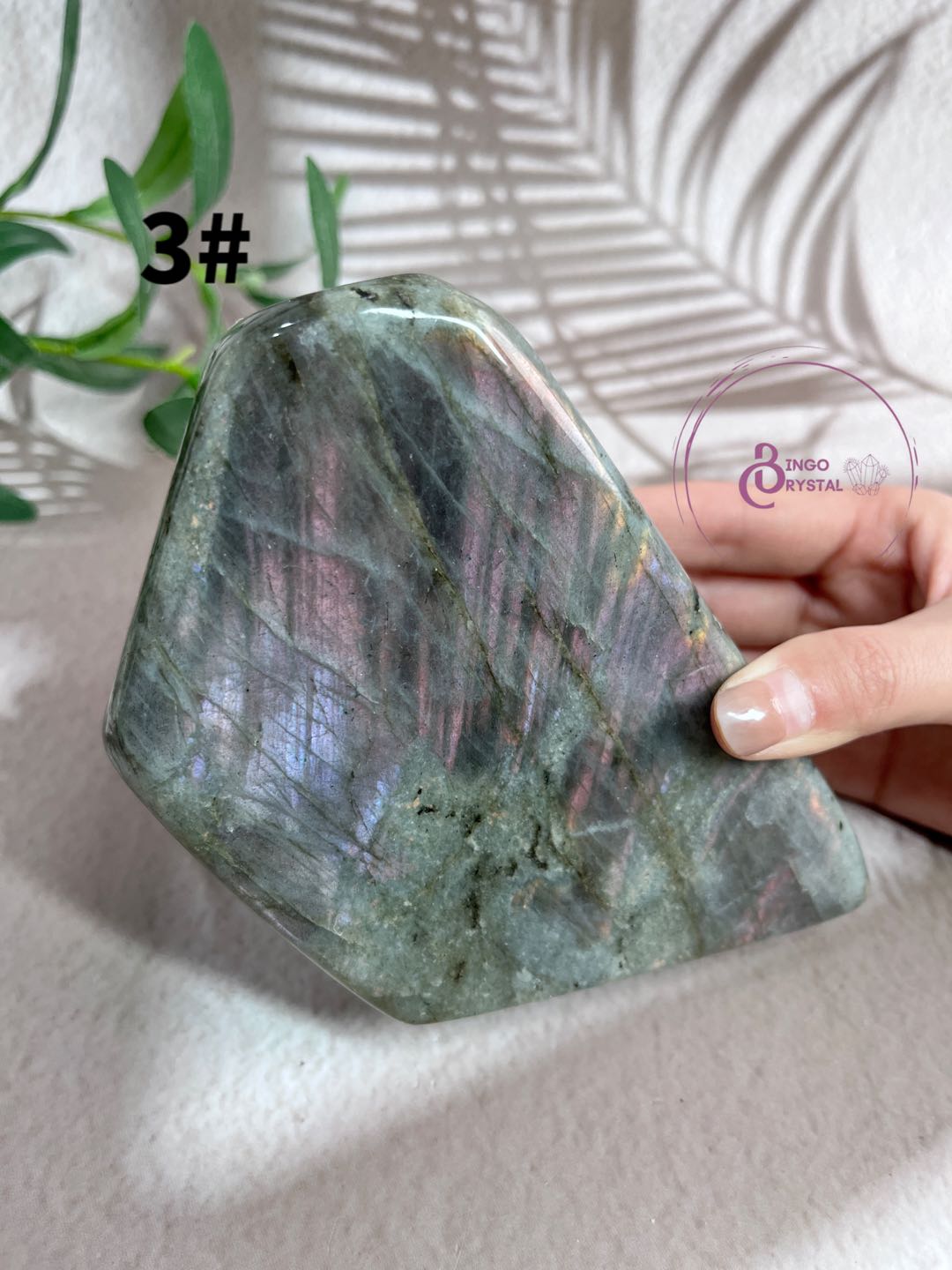 Crystal Purple Labradorite Freeforms