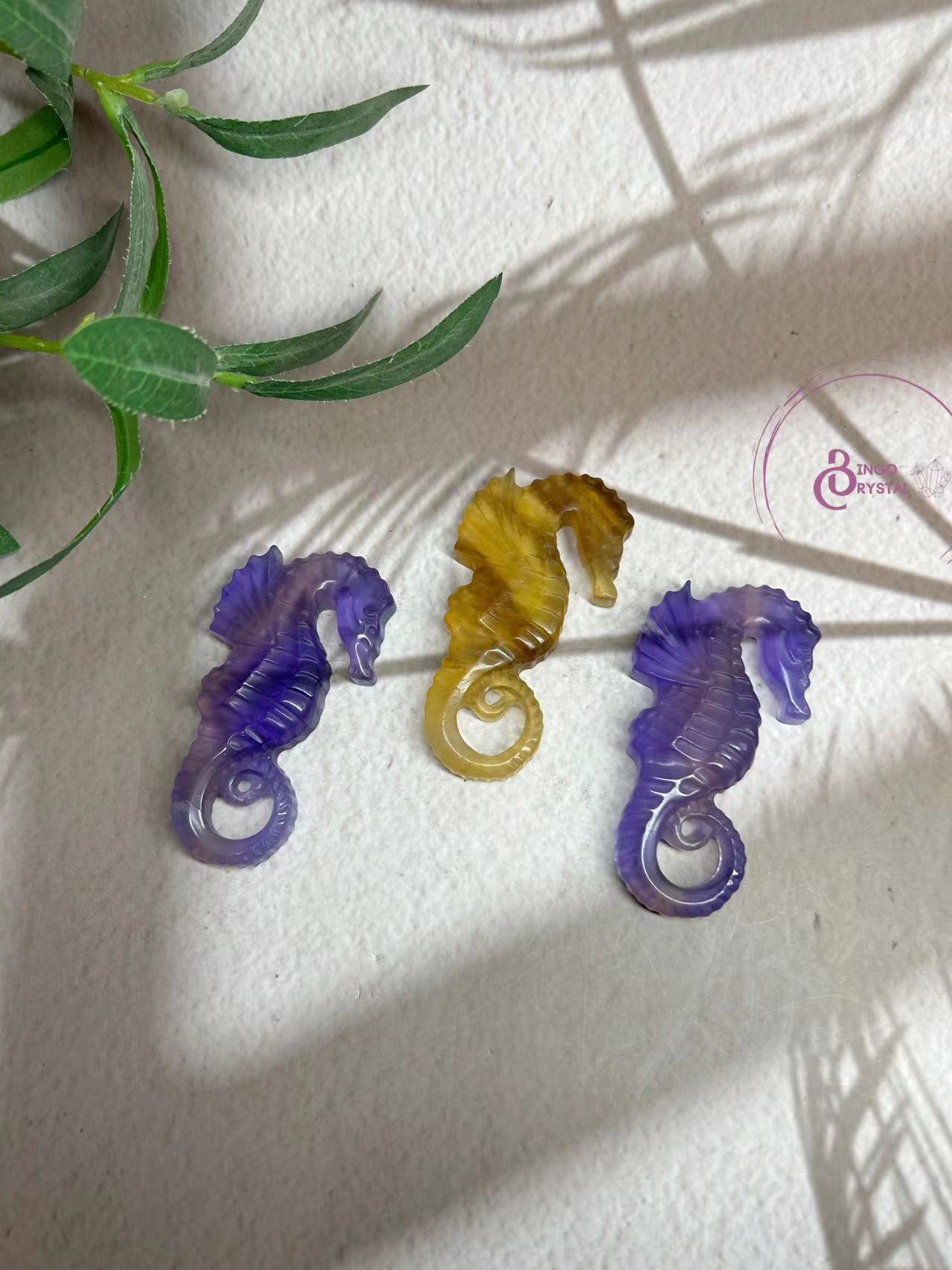 Rainbow Fluorite Sea Horse Carvings