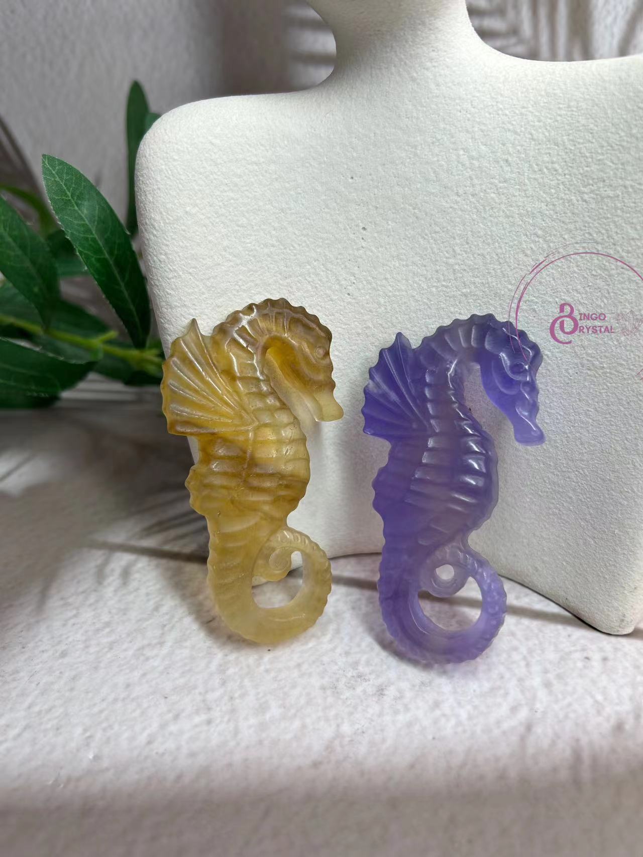 Rainbow Fluorite Sea Horse Carvings