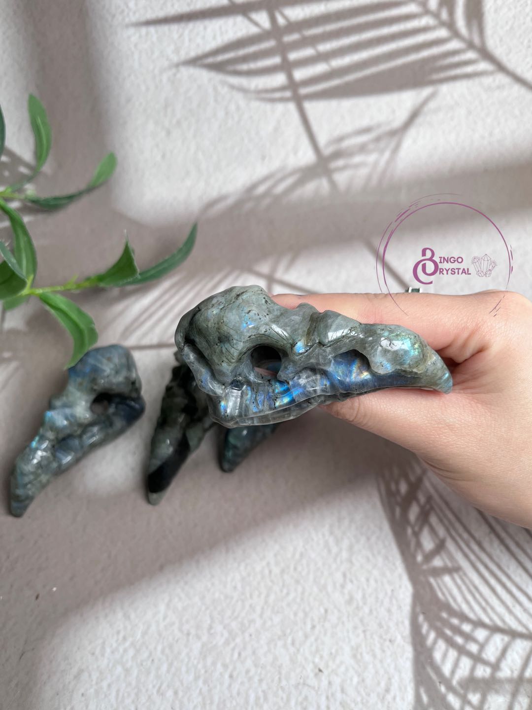 Mixed Stone Bird Skull Carving with Blue Light